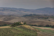 Villa Podere Belvedere in Val d'Orcia, Tuscany during autumn, Italy von Bastian Linder