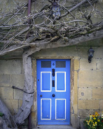 Blue Door 01 by GEORGE ELLIS