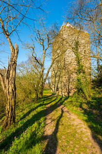 Burg Sponheim-Wohnturm 42 von Erhard Hess