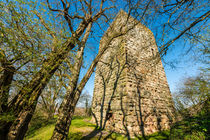 Burg Sponheim-Wohnturm 51 von Erhard Hess