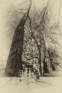 Burg Sponheim-Wohnturm 57-sw42 by Erhard Hess