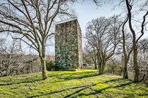 Burg Sponheim-Wohnturm 72-8 von Erhard Hess