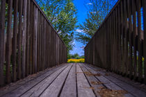 The wooden bridge by Michael Naegele