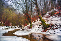 Winter landscape von kunstfotografie