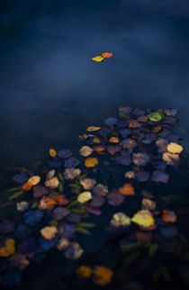 Herbstreise by Franz Brugger