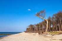 Strand an der Ostseeküste by Rico Ködder