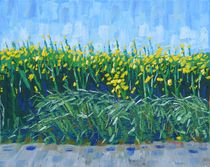 19. Rapeseed after Wheafield With Lark 2017 by Anthony D. Padgett (after Van Gogh Paris 1887) by Anthony Padgett