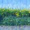 19-rapeseed-after-wheafield-with-lark-2017-by-anthony-d-padgett-after-van-gogh-paris-1887