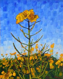 22. Rapeseed after Garden with Sunflower 2017 by Anthony D. Padgett (after Van Gogh Arles 1888) by Anthony Padgett