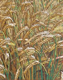 59. Ears of Wheat 2017 by Anthony D. Padgett (after Van Gogh Auvers sur Oise 1890) by Anthony Padgett