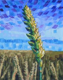 60. Ears of Wheat ii 2017 by Anthony D. Padgett (after Van Gogh Auvers sur Oise 1890) von Anthony Padgett
