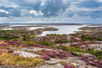 Landschaft auf der Insel Tjörn in Schweden von Rico Ködder
