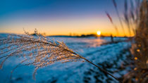 Sonnenuntergang im Winter by mindscapephotos