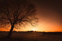 Sonnenuntergang am Baum von mindscapephotos