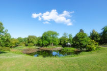 Darmstadt - little pond in the park by Claudia Schmidt