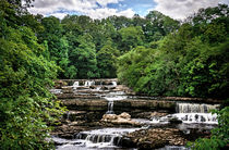 Aysgarth Upper Falls von Ian Lewis