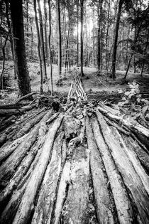 Wooden path in the forest von Claudia Schmidt