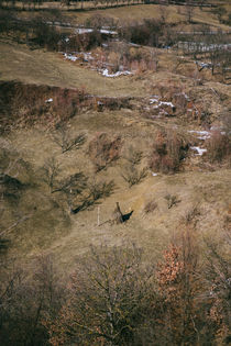 Rural Transylvania by Diana Boariu