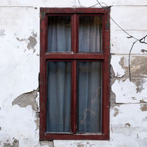 Red window portrait  von Diana Boariu