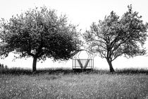 Bäume und Gitter von arthouse-pictures