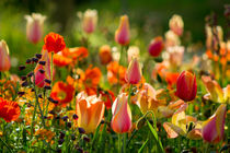 Kunterbunte Blumenpracht by Renate Dohr
