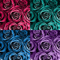 Roses by Igor Shrayer