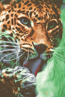 Leopard Portrait von AD DESIGN Photo + PhotoArt
