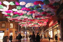 Umbrella Canopy by Robert Matta