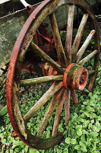 Wagon Wheel by Robert Matta