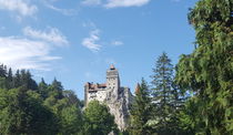 The medieval Bran Castle in Brasov, Romania by ambasador