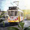 Artflakes-sunshine-tram