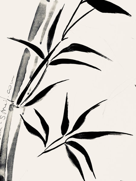 Bambus-01-300