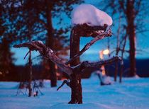 Snow art by Ilkka Tuominen