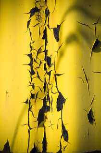Rostiges Gelb by Thomas Schaefer