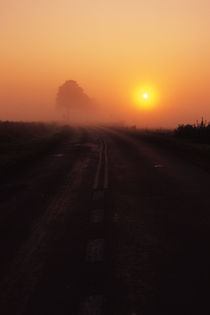 Sonnenaufgang im Nebel von Krystian Krawczyk
