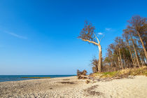 Strand an der Küste der Ostsee bei Graal Müritz von Rico Ködder
