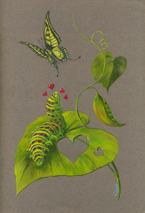 Raupe und Schmetterling von Anna Eliza Lukasik-Fisch