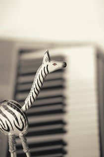 Piano Zebra by cinema4design