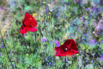 Wildblumen an Mohn by Petra Dreiling-Schewe