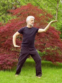 tai chi in a park by Michael Raab