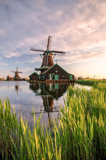 'Windmühle in Nord Holland' von Achim Thomae