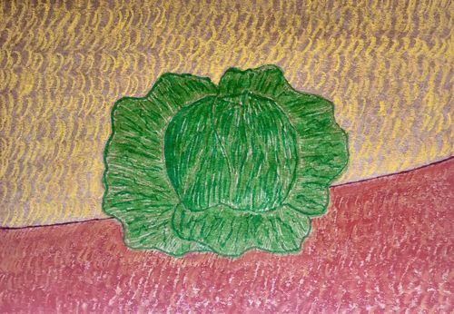Still-life-with-cabbage