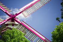 Moulin Pink I by Thomas Schaefer