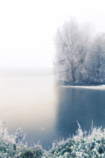 Winter Blues I by Thomas Schaefer