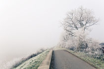 Winterlandschaft im Nebel I by Thomas Schaefer