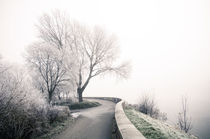 Winterlandschaft im Nebel II by Thomas Schaefer