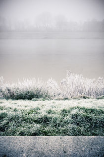 Winterlandschaft im Nebel III by Thomas Schaefer