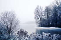 Frozen Landscape I by Thomas Schaefer