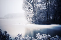 Frozen Landscape II by Thomas Schaefer