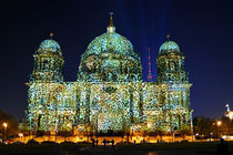 Berliner Dom im Leopardenfell by Christian Behring